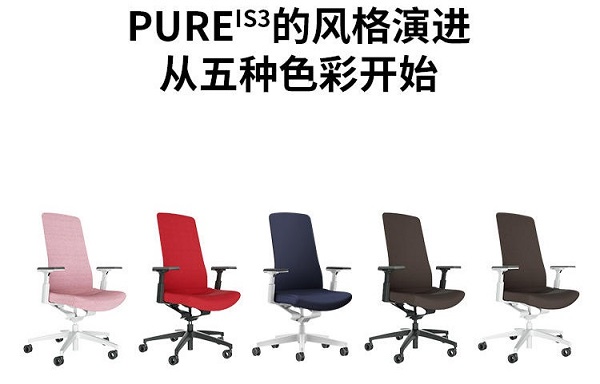 Pureis3人體工學(xué)座椅顏色